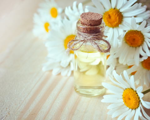 Chamomile Oil