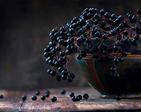 Elderberry