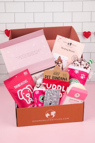 dog lover gift box