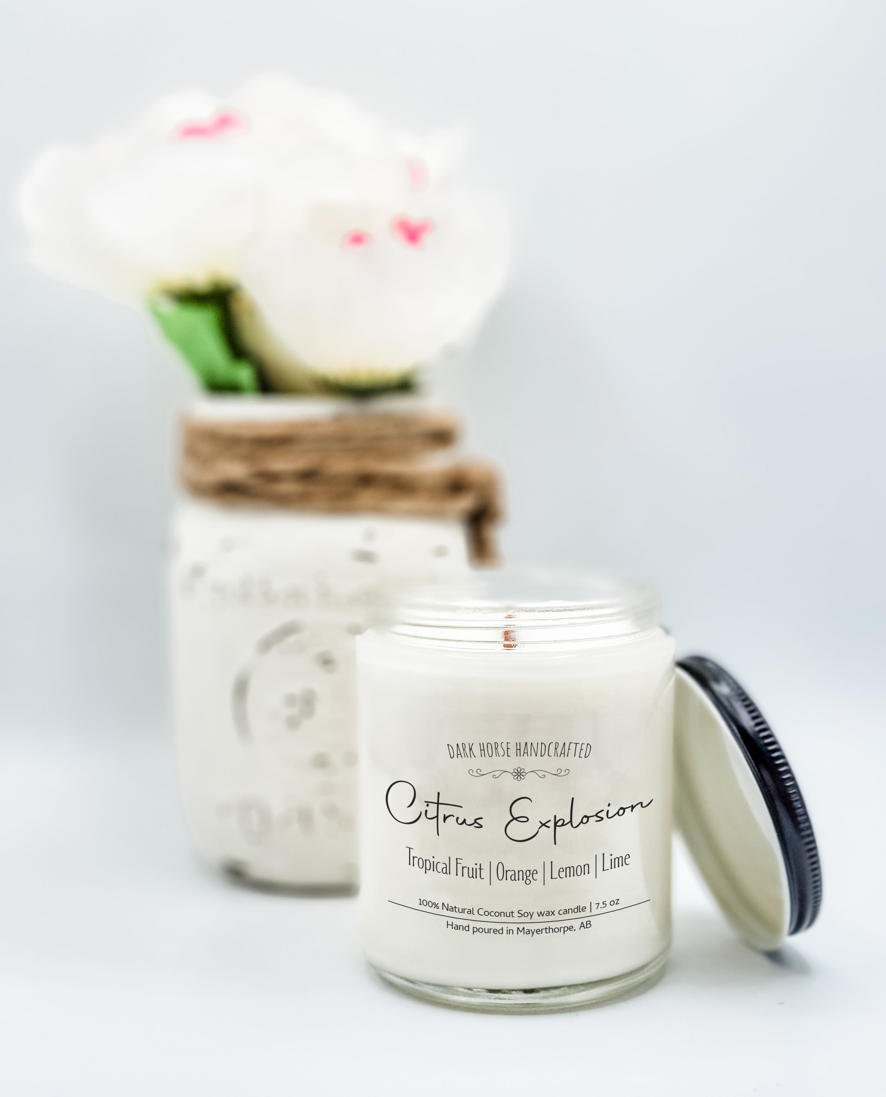 image for Citrus Explosion - Scented Soy Candle