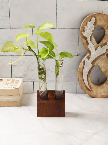 Sheesham Wood Double Test Tube Planter