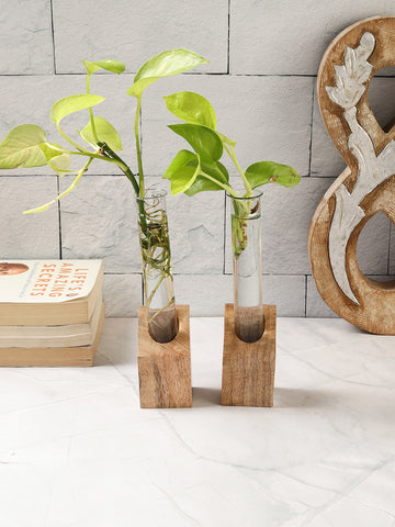 Mango Wood Test Tube Planters Set of Two