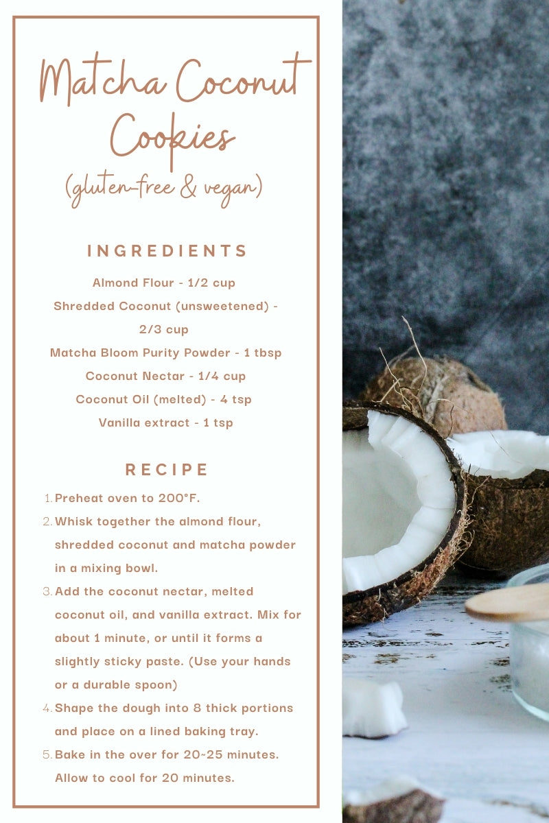 Paleo-friendly Matcha Coconut Cookie Recipe