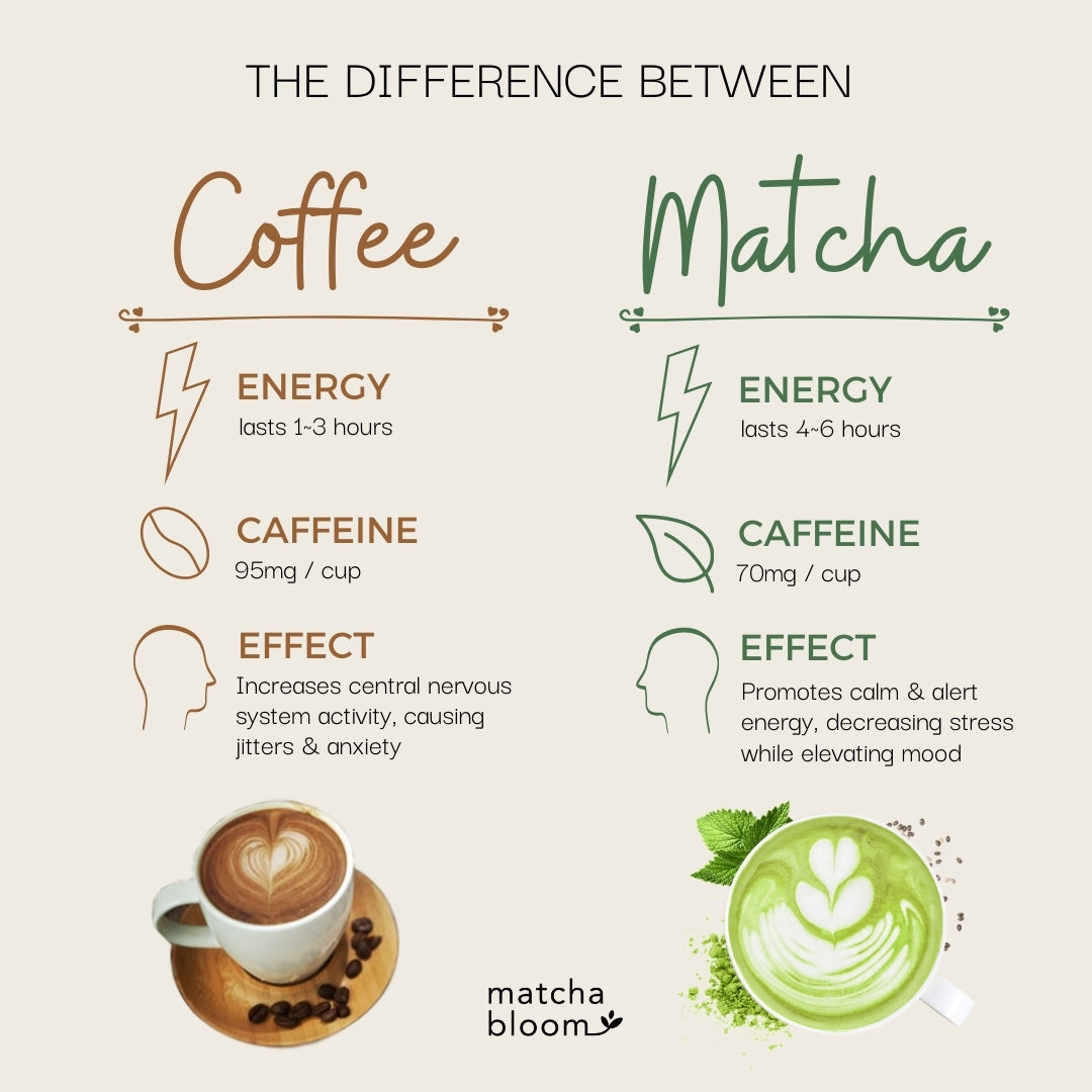 difference between coffee and matcha