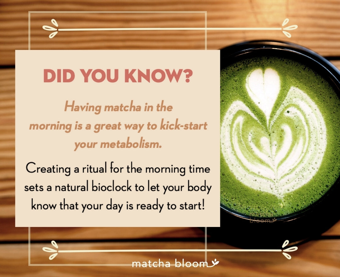 Matcha Helps Boost Metabolism