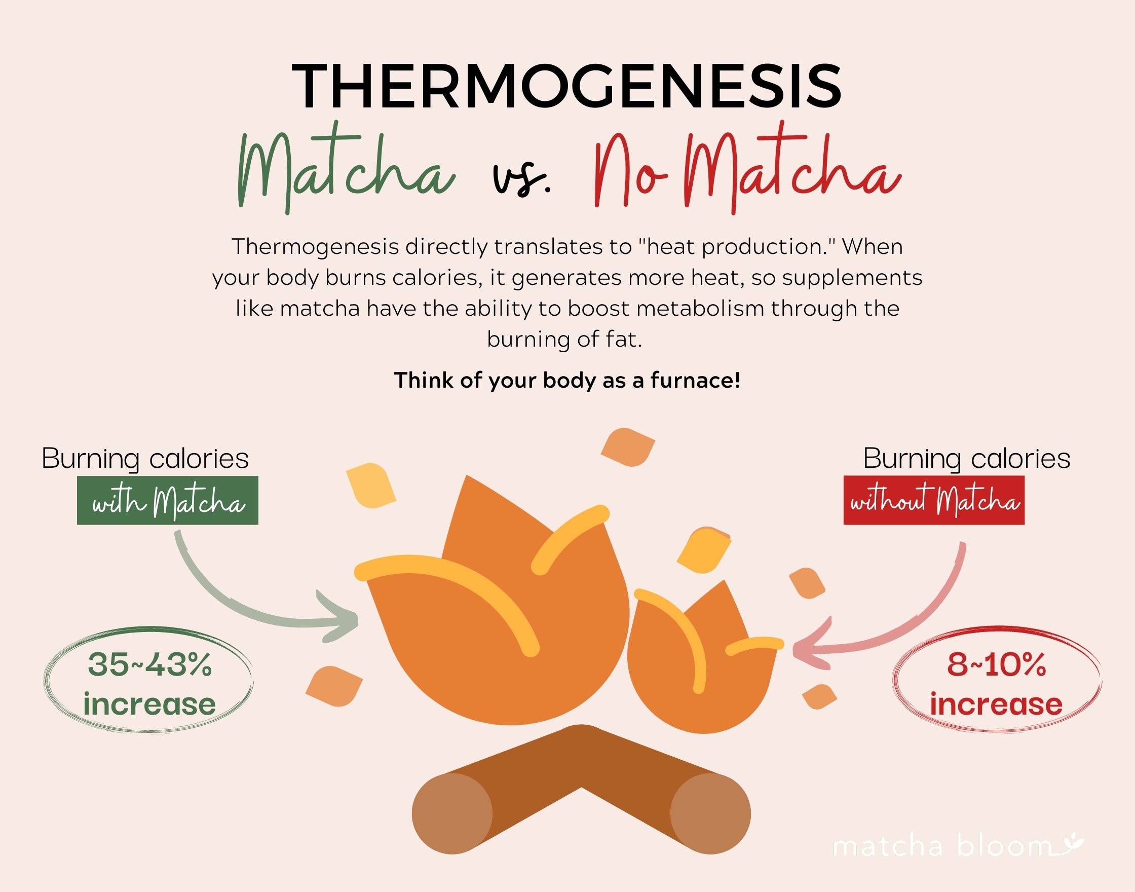 Matcha increases metabolism through thermogenesis