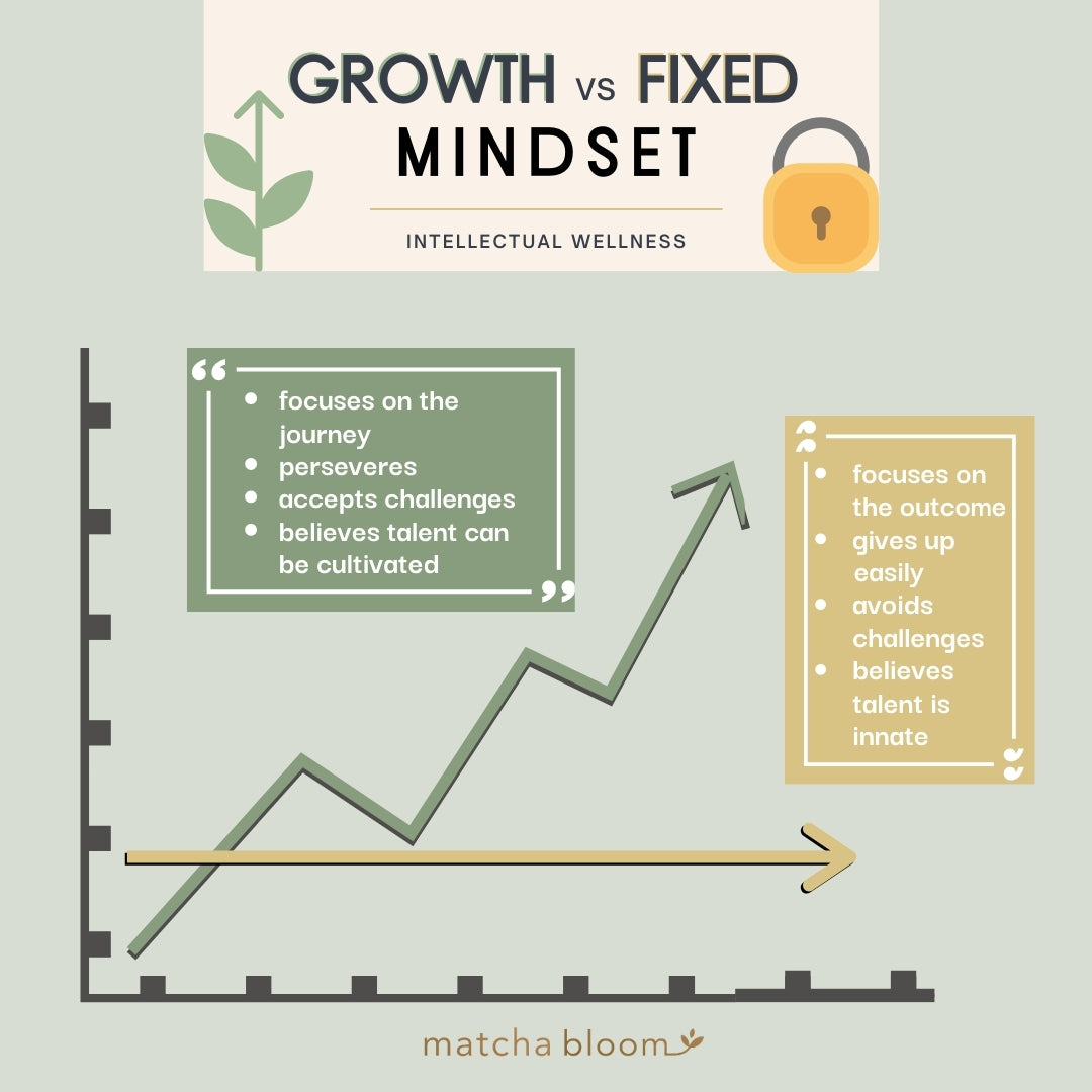 Growth Mindset vs Fixed Mindset