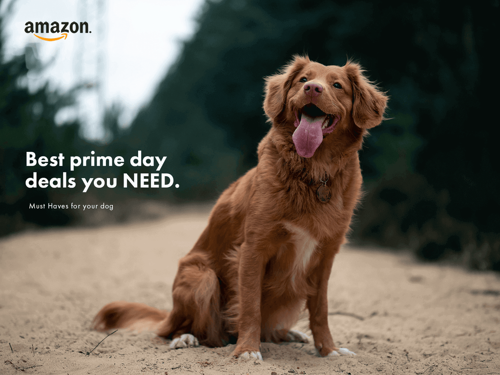 Top Amazon Prime Pet Deals