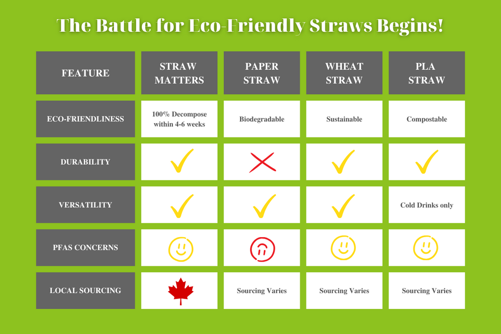Biodegradable Straw Comparison