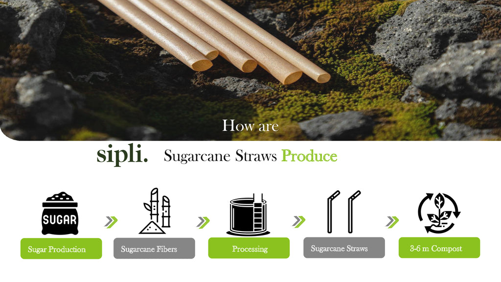 How to produce Sugarcane Straws 