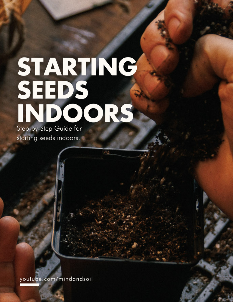 Link to Mind & Soil (Mind & Soil) step-by-step guide how on to start seeds indoors