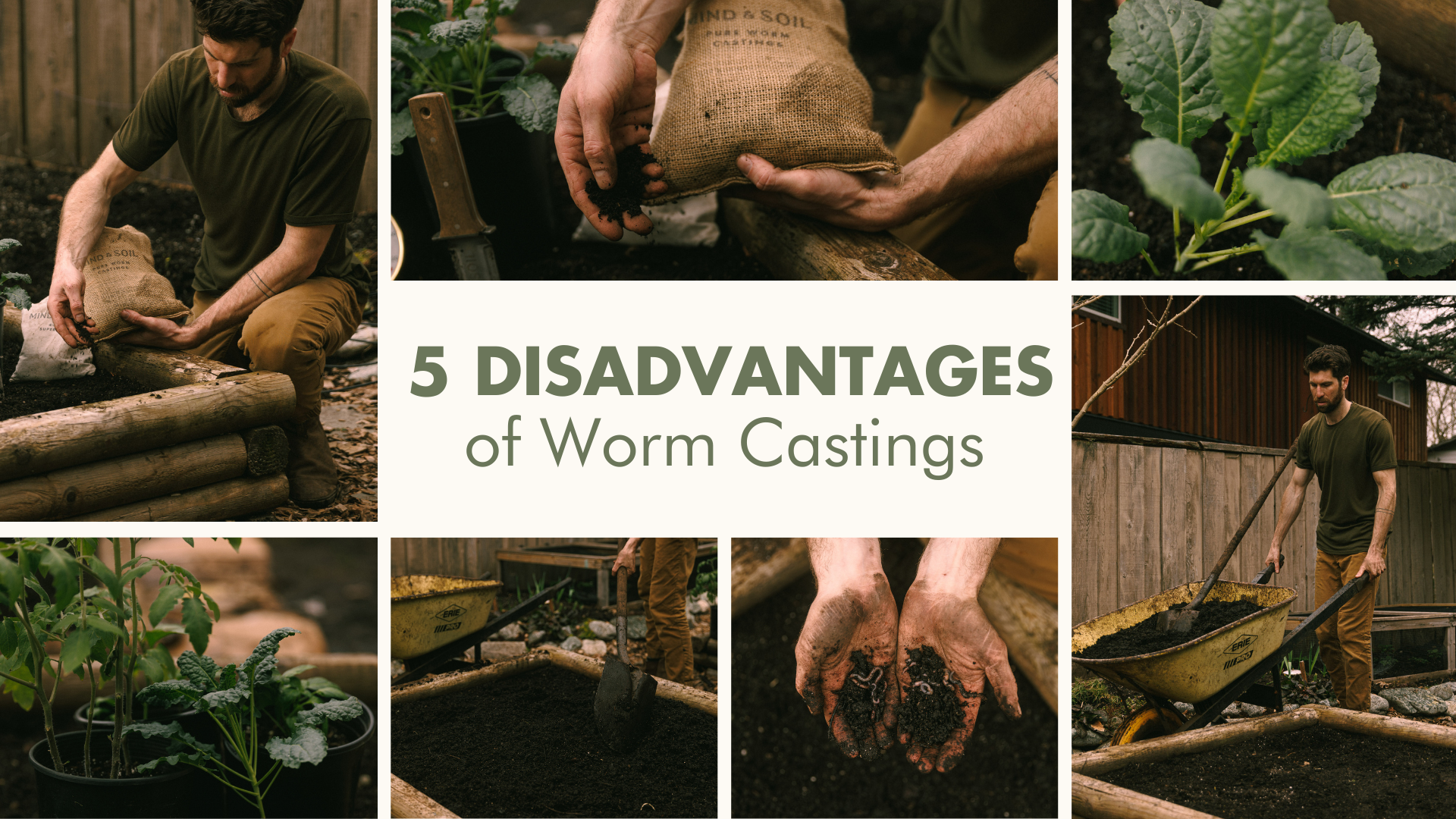 5 Disadvantages of using Worm Castings