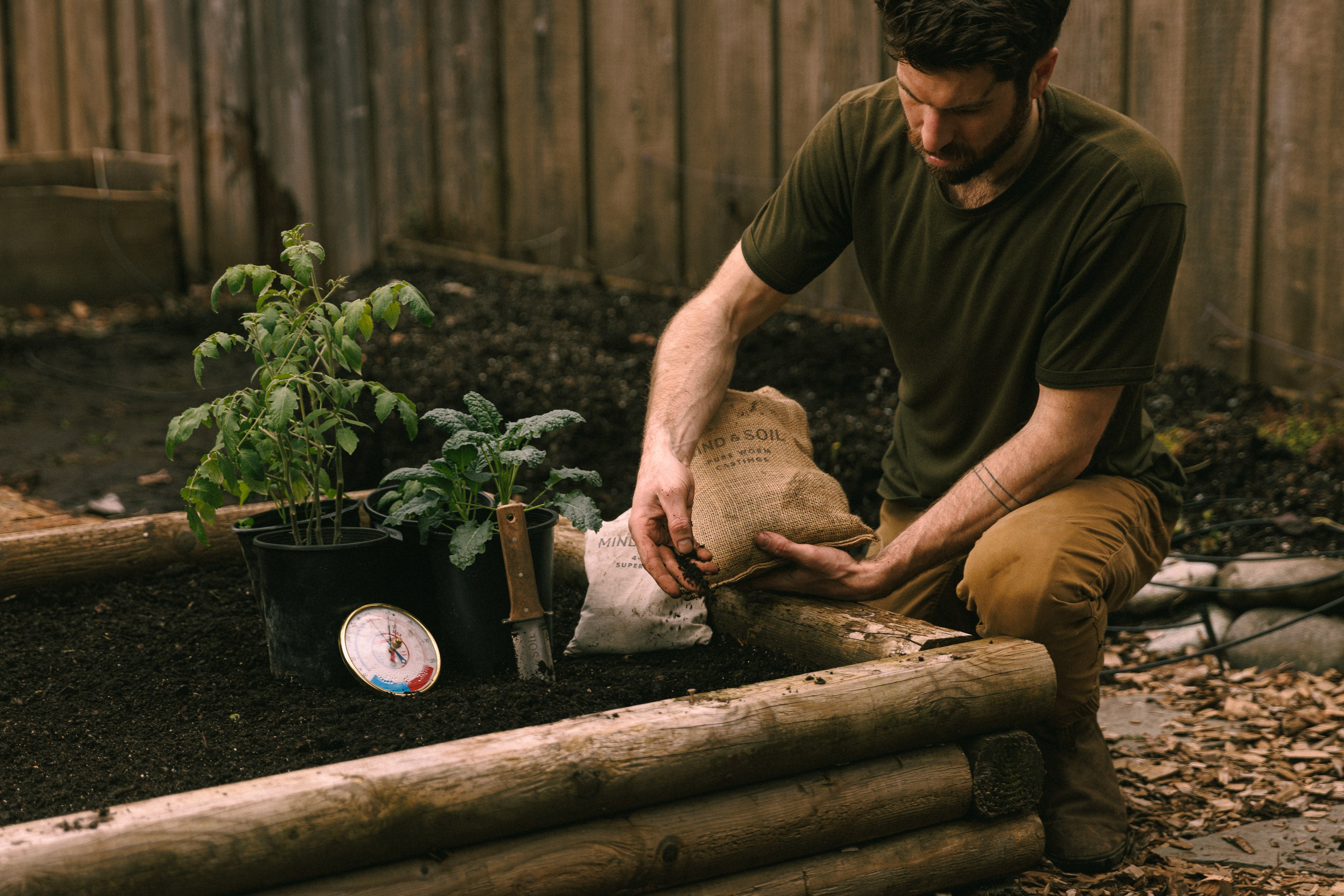 Applying worm castings while transplanting