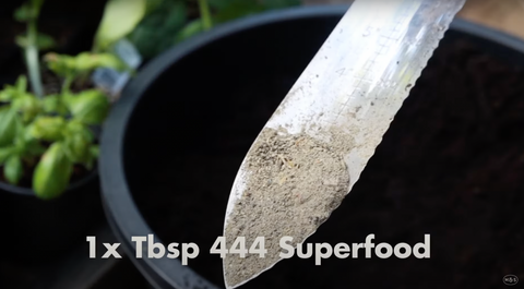 1 tablespoon of 4-4-4 superfood