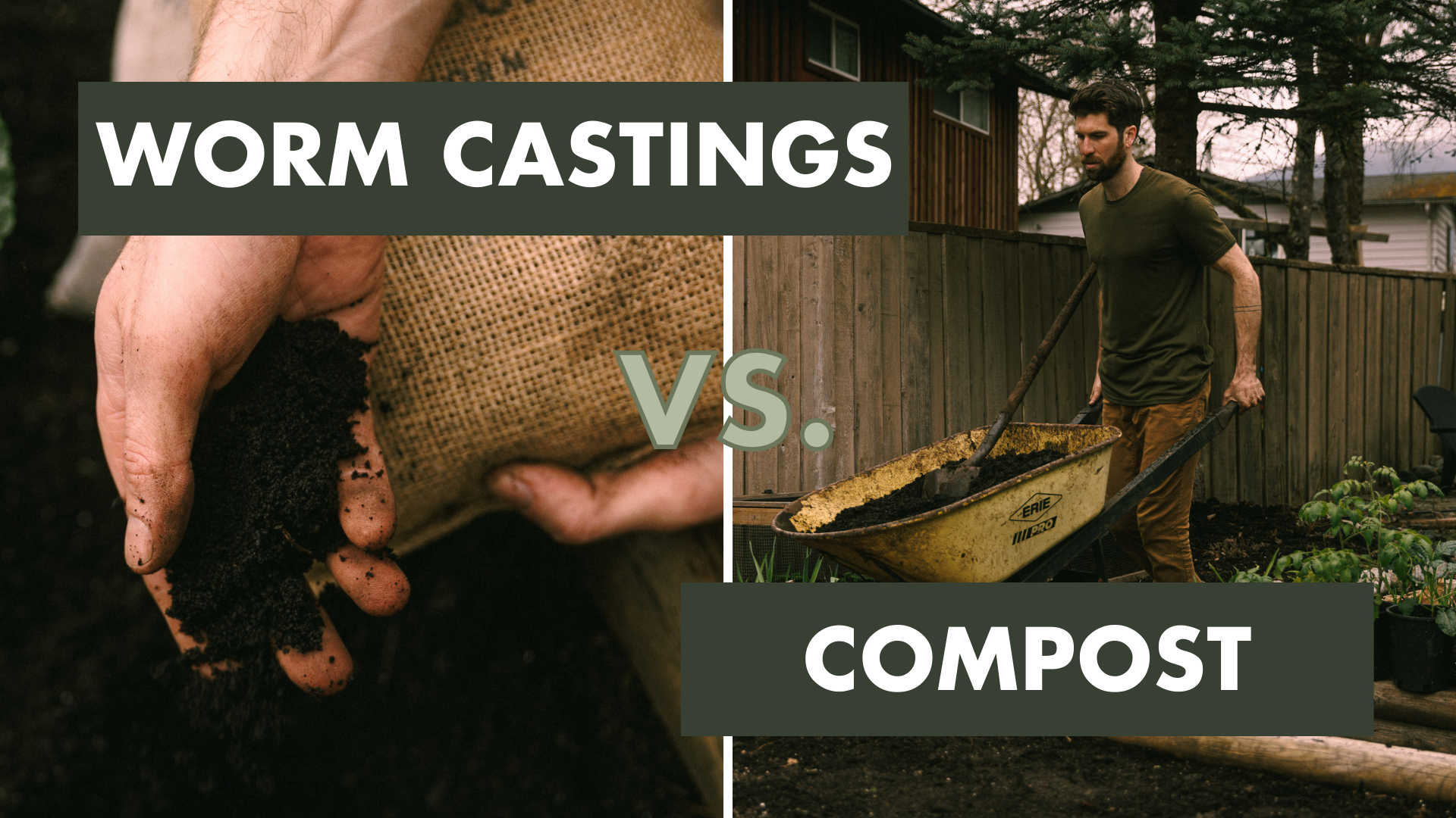 worm castings versus compost blog