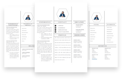 Financial Controller 3 Page CV