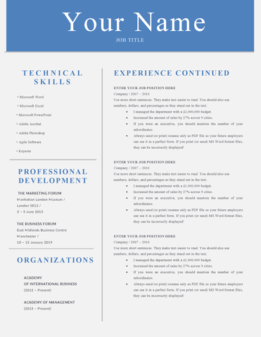 Simple 2 page CV