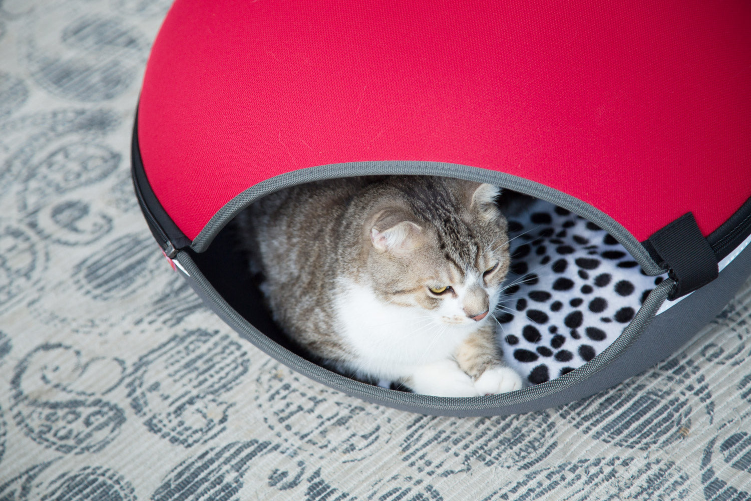 The Little Arena Pet Cave & Bed By Ibiyaya - Red FB1308-R