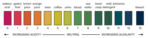 pH Scale