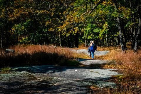 allenamento con i bastoni da nordic walking