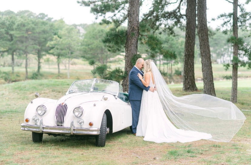 Beau Gown | V-neck natural waist A-line gown with beaded white pearls and clear crystal sequins