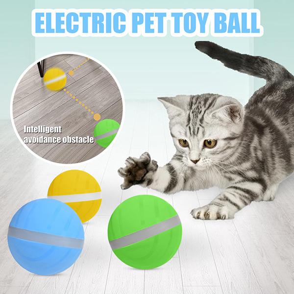motion ball for dogs
