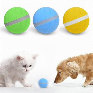 Best review Pet Motion Ball only $23.99 