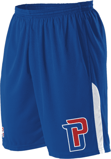 Alleson Athletic A205LA Adult NBA Logo Game Short - Detroit Pistons