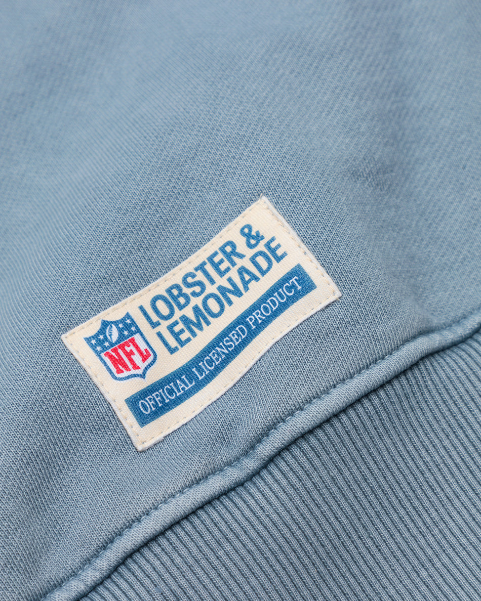 L&L – NFL Classics Panthers – ’96 Box Sweater gray