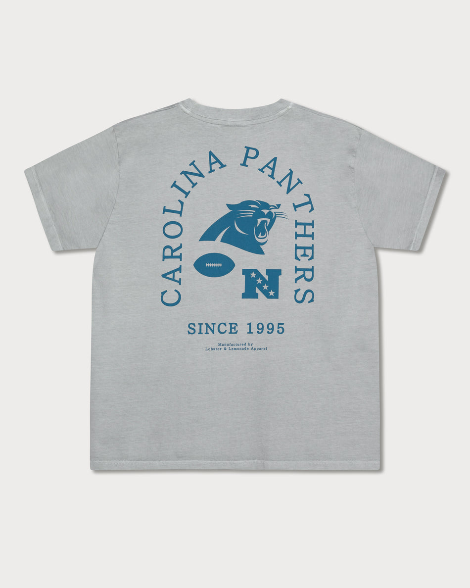 L&L – NFL Classics Panthers – ’89 Band T-Shirt gray