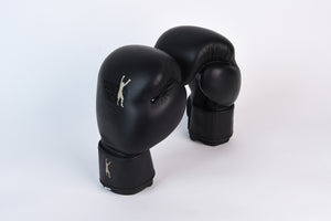 shane cameron boxing gear