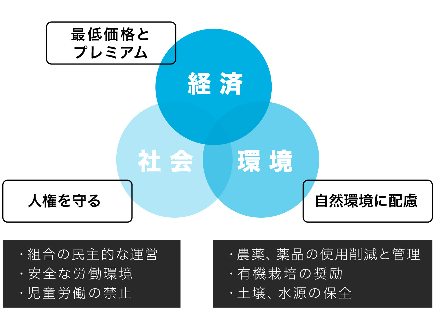 フェアトレード,fairtrade,SDGs,タオル,フェアトレードコットン,fairtradecotton