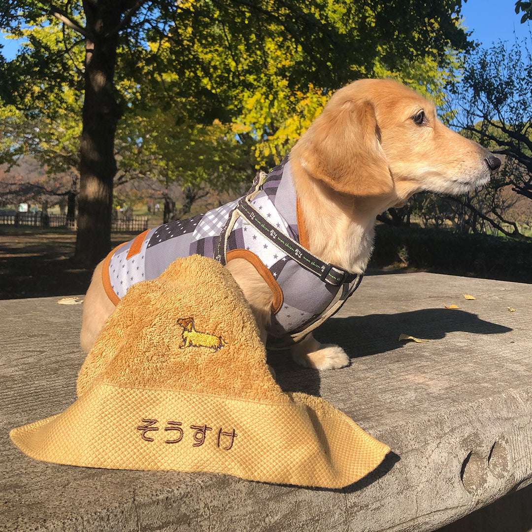 愛犬タオル,そうすけ