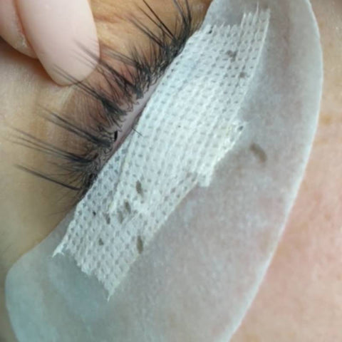 Best eyelash pads for extensions