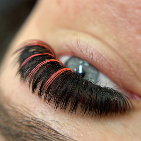 How much should lashes cost