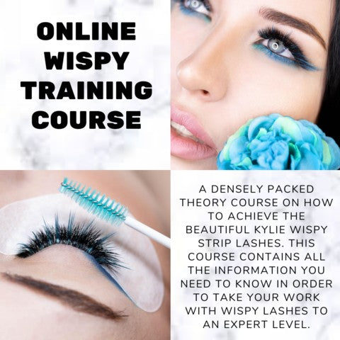 Online Wispy Training Course