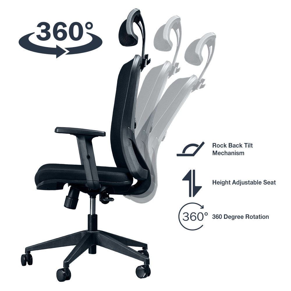 Ergo recline