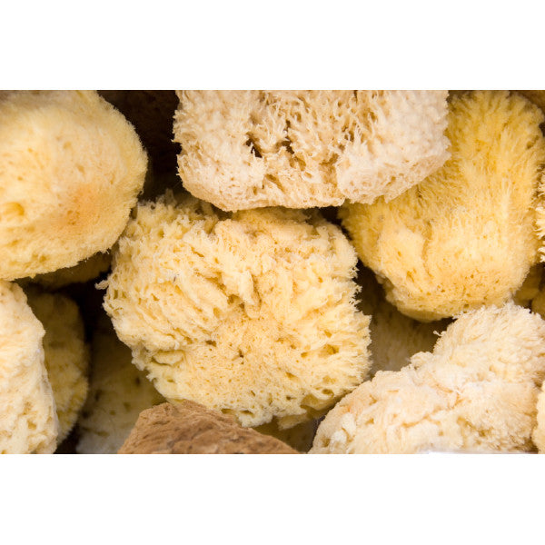 Are natural sea sponges good for my skin?