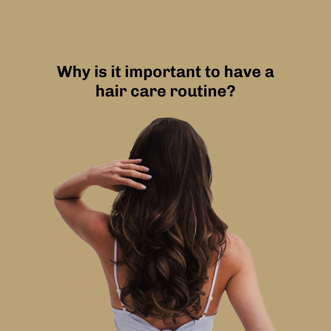 How to Build a Proper Hair Care Routine  Clique Organic Salons