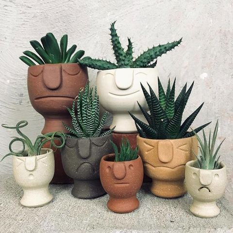 Ceramic Pots for Plants 