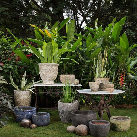 Decoration with Ceramic Planters: Benefits of Them