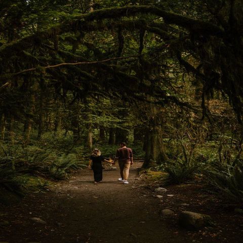 Picnic and Nature Walk