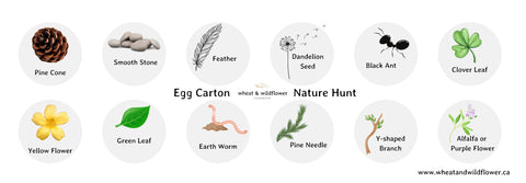 free egg carton nature hunt printable