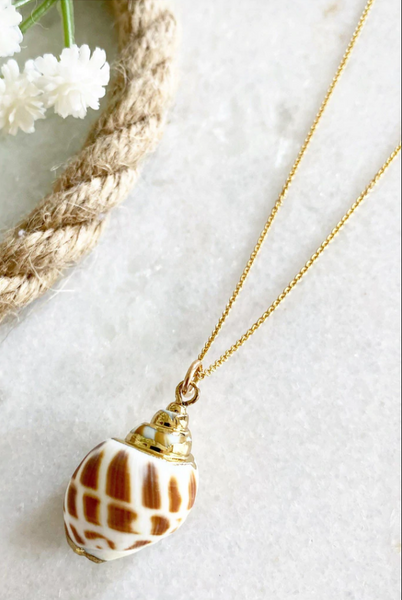 Wisteria London Mira Gold Natural Conch Shell Necklace