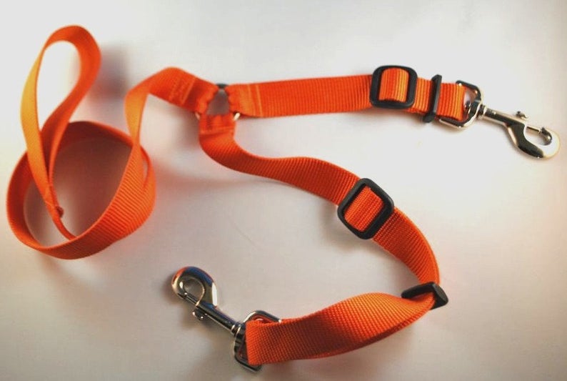 dog leash with two hooks