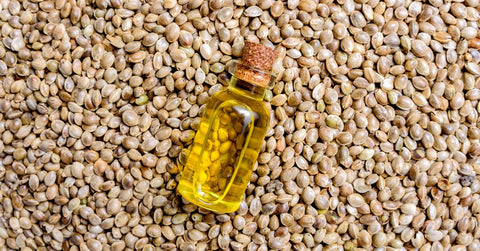 hemp seed oil on a bed of hemp seeds