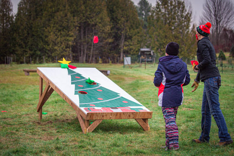 Bean Bag Toss Game in action