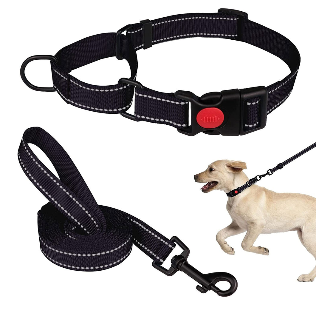 just for puppy collar and lead set