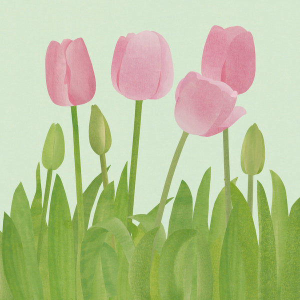 collaged image of pink tulips