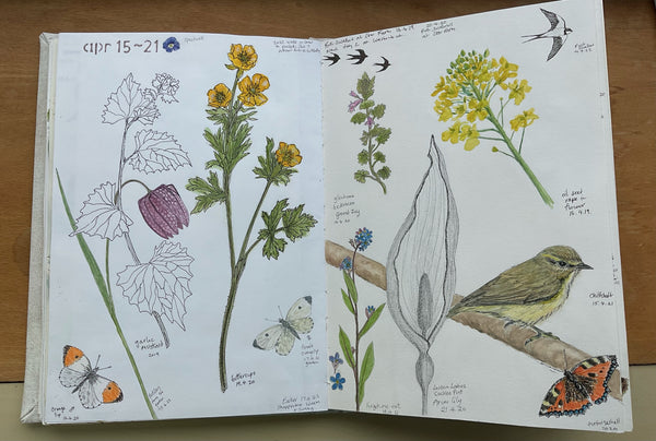 sketchbook flowers